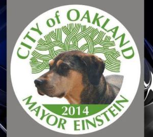 Einstein for Oakand mayor www.blacklikemoi.com